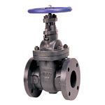 Flanged Cast Iron Gate Valve,Non-Rising Stem